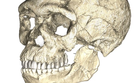 A composite reconstruction of the earliest known Homo sapiens fossils from Jebel Irhoud (Morocco) based on micro computed tomographic scans of multiple original fossils. Dated to 300 thousand years ago these early Homo sapiens already have a modern-looking face that falls within the variation of humans living today. However, the archaic-looking braincase indicates that brain shape, and possibly brain function, evolved within the Homo sapiens lineage.