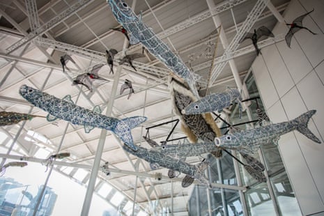 Woven sculptures of fish suspended from the ceiling in the Australian National Maritime Museum