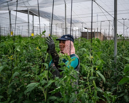 The worker stands among plants holding a cane