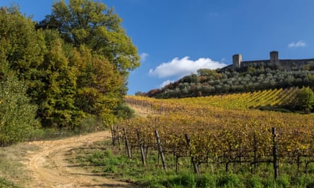 Autumnal vineyards outside the medieval walls of Monteriggioni, north of Siena.