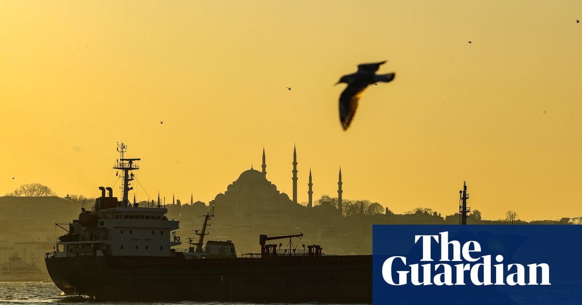 Erdoğan’s ‘crazy project': new Istanbul canal to link Black and Marmara Seas - The Guardian