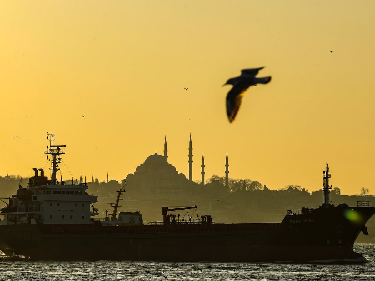 Erdogan S Crazy Project New Istanbul Canal To Link Black And Marmara Seas Environment The Guardian