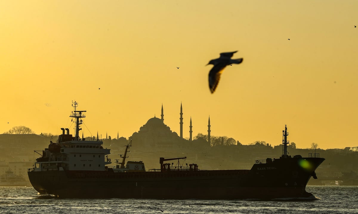 Erdogan S Crazy Project New Istanbul Canal To Link Black And Marmara Seas Environment The Guardian