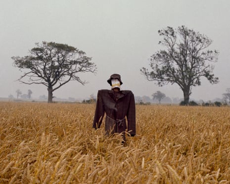 Scarecrow by Peter Mitchell (detail)
