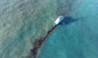 US Coast Guard looking for source of pipeline leak in Gulf of Mexico