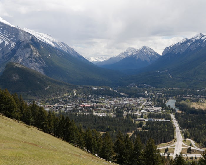 Alberta’s ‘rat patrol’ ramps up operations as vermin makes inroads in province
