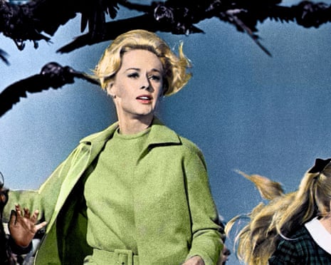 The Birds | The Guardian The Birds | The Guardian