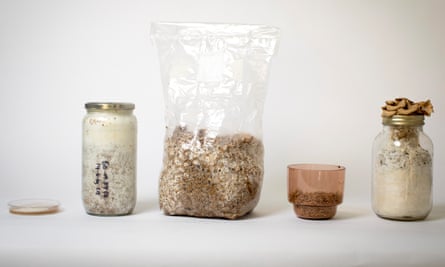 What’s cooking: the mycelium-growing elements