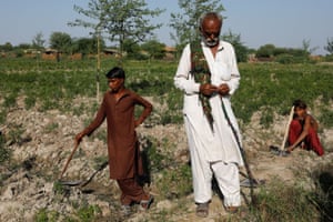 Farmers take a break from preparing the soil after rains and floods during monsoon season in Kunri, Umerkot, Pakistan, 15 October, 2022