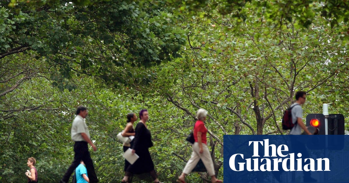 Melbourne's plane trees to be replaced by species resistant to climate change - The Guardian