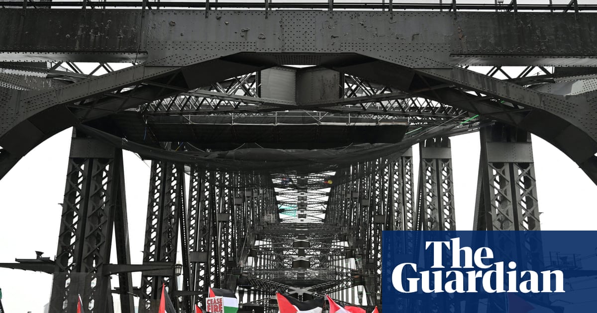 Activist groups to challenge NSW protest laws on right to free speech grounds