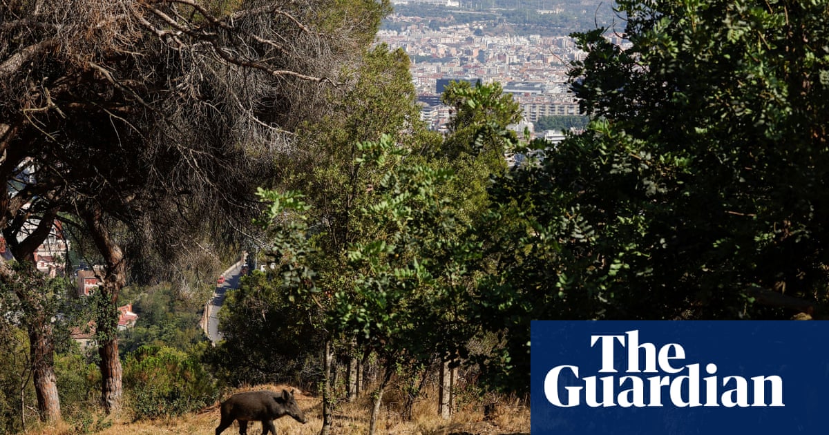 3500.jpg?width=1200&height=630&quality=8