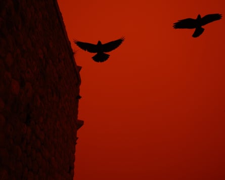 Two birds can be seen flying just above a building as Crete is enveloped in thick orange-red clouds of dust