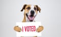 This dog voted … but how?