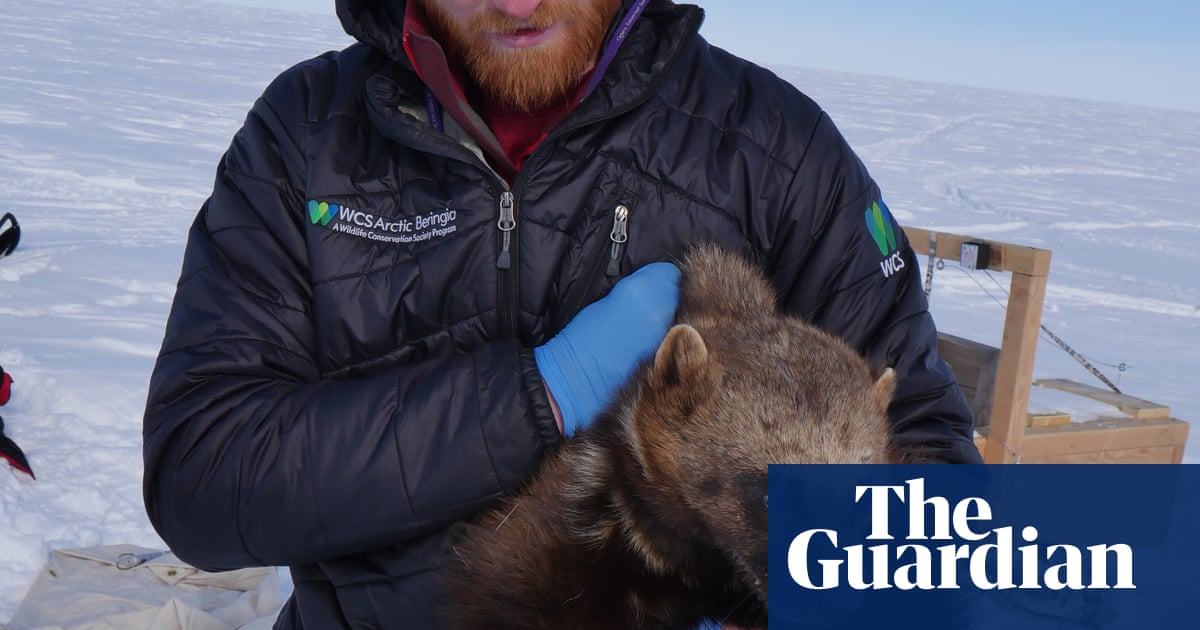 Wildlife Conservation Society's favourite pictures of 2016