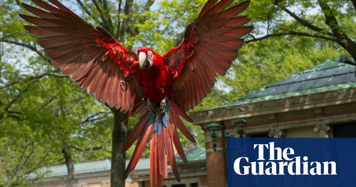 Wildlife Conservation Society's favourite pictures of 2016