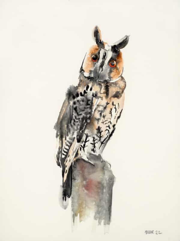 'After you are startled by the owls, you see eyes everywhere' ... Moir's watercolor Long-eared Owl, 2022.