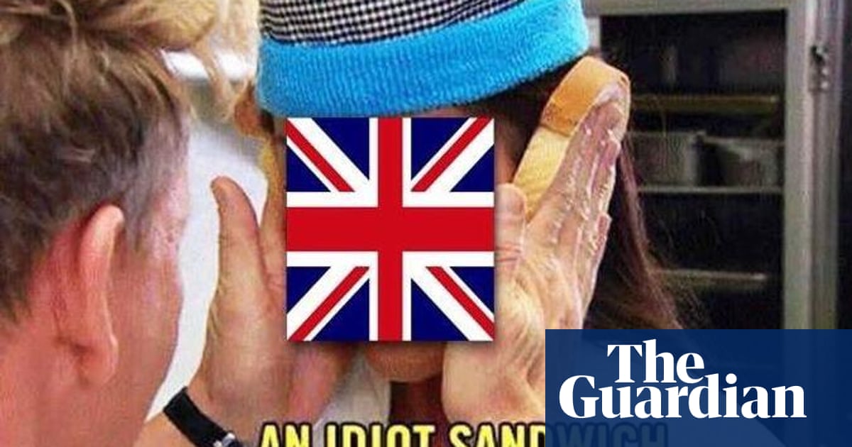 Memes To Cheer You Up If You Voted Remain Politics The Guardian