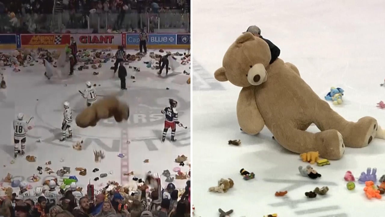 It's raining stuffed animals': 45,000 teddy bears tossed on ice in hockey  game – video report | Sport | The Guardian