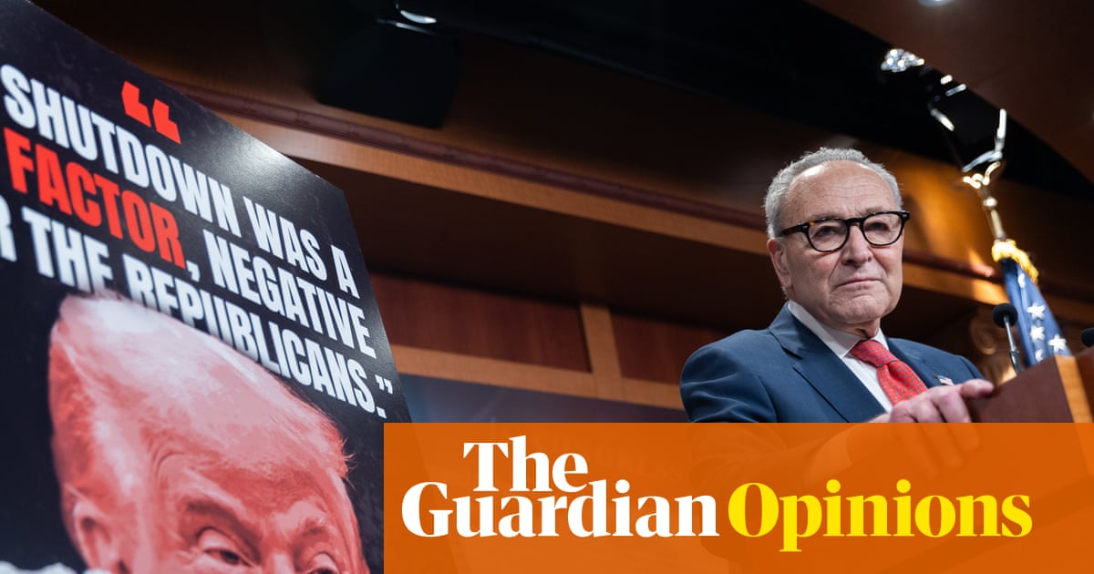Chuck Schumer should quit – but would his imaginary friends agree? | Arwa Mahdawi