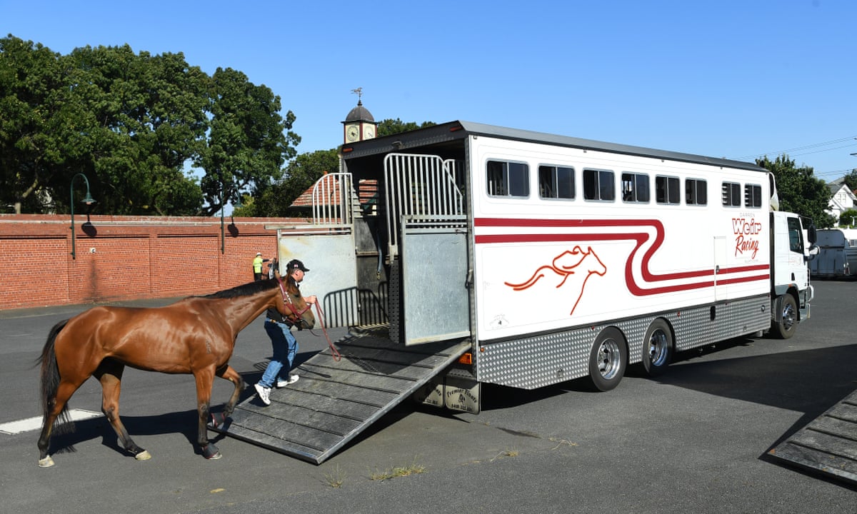 Racing throws book at Darren Weir but troubling uncertainties remain | Horse racing | The Guardian
