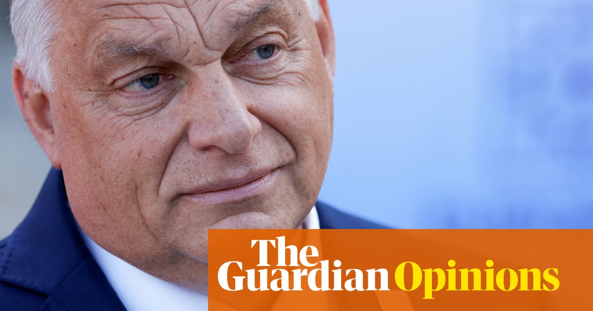 www.theguardian.com