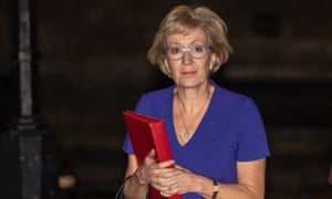 The leader of the House of Commons, Andrea Leadsom, leaves Downing Street as cabinet ministers read the draft Brexit documents