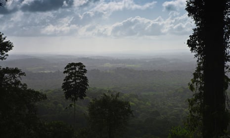 The Amazon rainforest in Amapá state, Brazil.