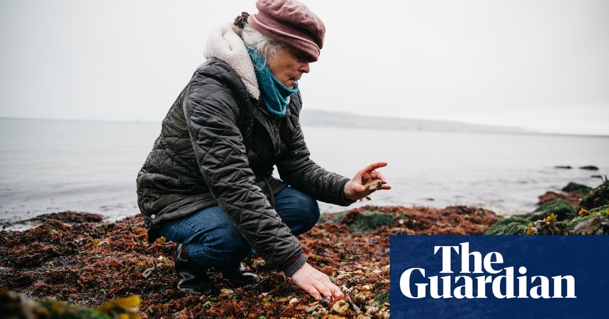 I discovered thousands of fossils after retiring. Now I’m nearly 80 and still going strong | Fossils