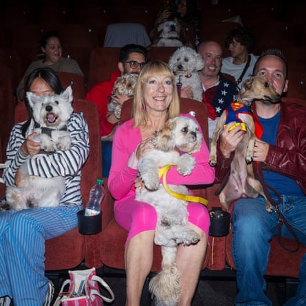 Dogs and their human companions sitting on rows of red seats inside the Hackney Picturehouse in London
