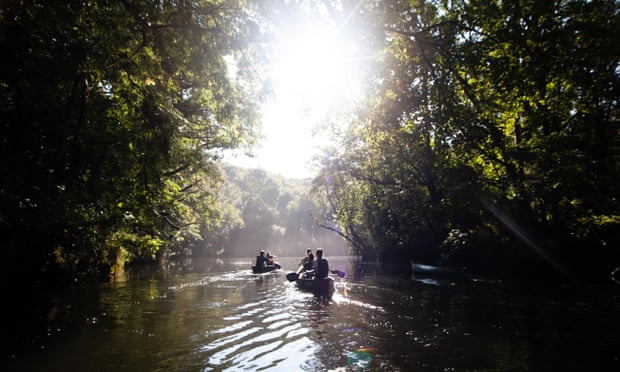 Canoeists emerge from overhanging trees into sunlight. 