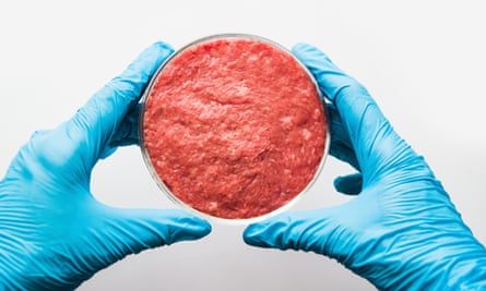 Minced meat in Petri dish