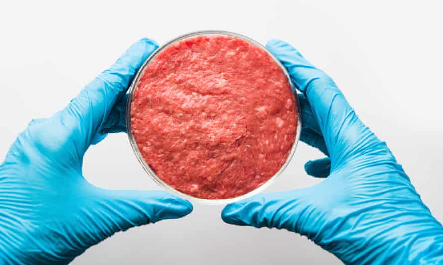 Minced meat in a petri dish