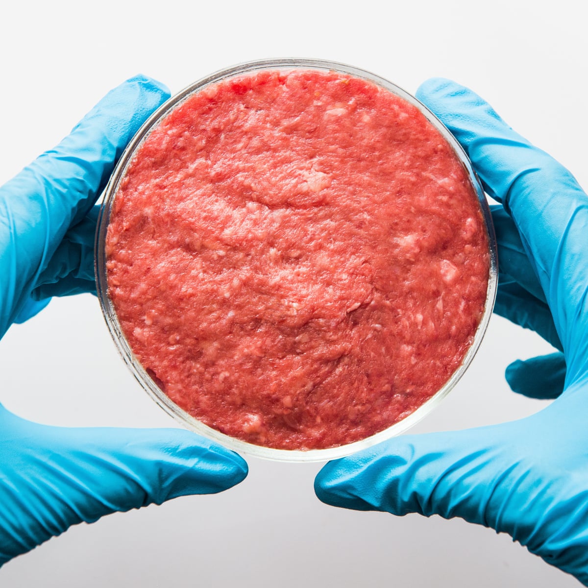 Man v food: is lab-grown meat really going to solve our nasty agriculture  problem? | Meat industry | The Guardian