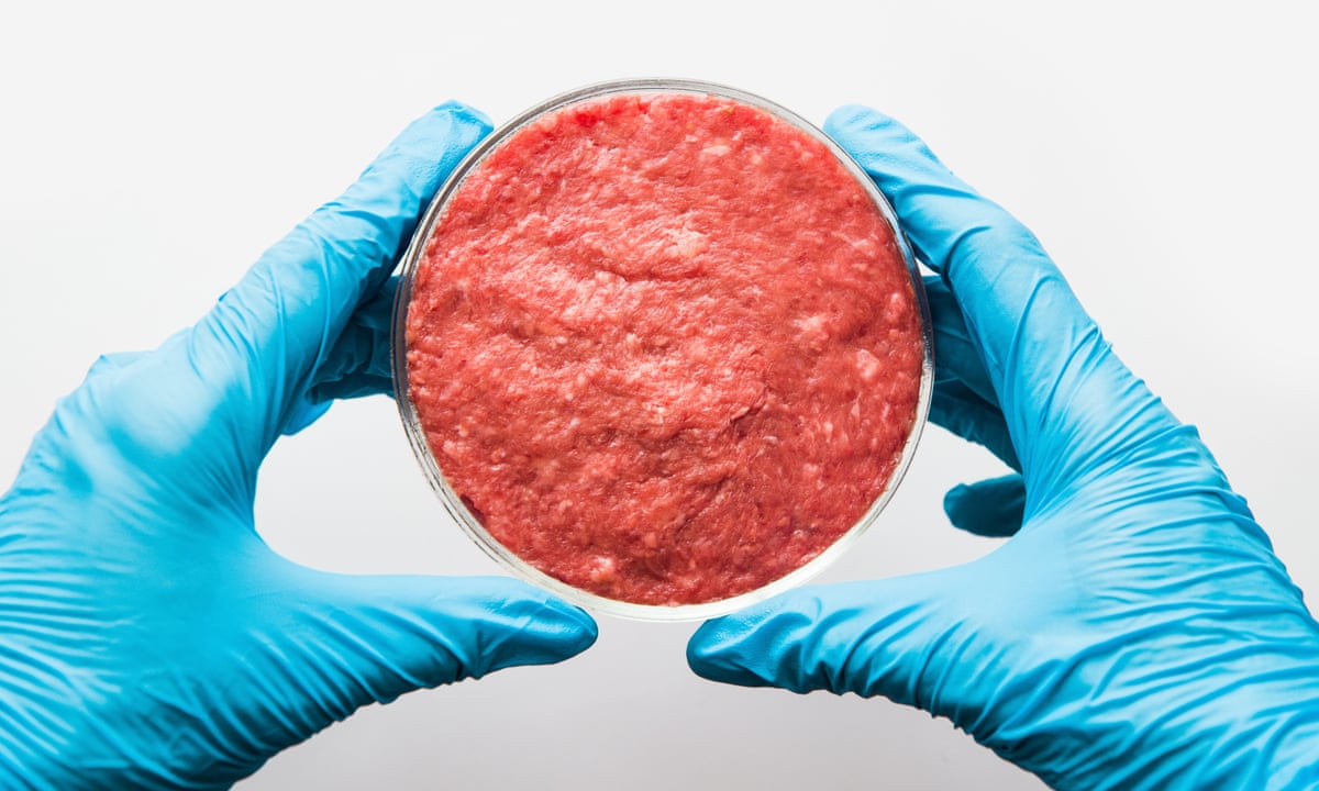 A Look Into the Conflict Between Large Agriculture and In-Vitro Meat A Look Into the Conflict Between Large Agriculture and In-Vitro Meat 5760