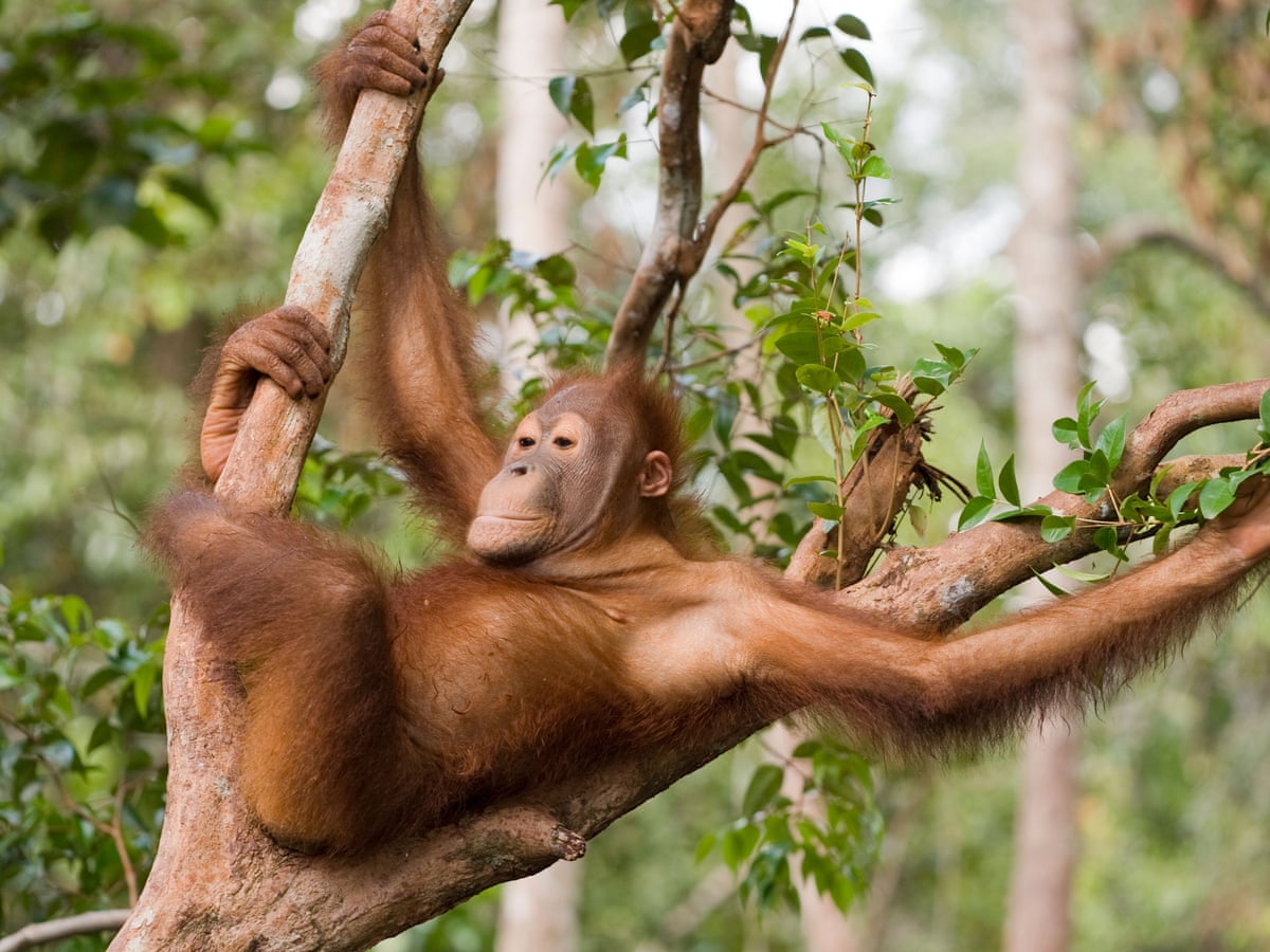 Looking For Jobs But Lack Experience Eight Ways To Sell Your Skills Applications The Guardian