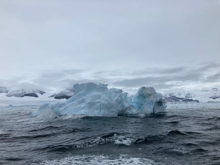 Ice in Robertson Bay
