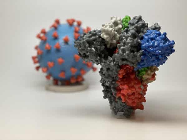 3D print of a spike protein and a Covid-19 virus particle