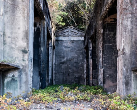 Abandoned doorless stone buildings either side of a narrow yard which has plants growing on it.