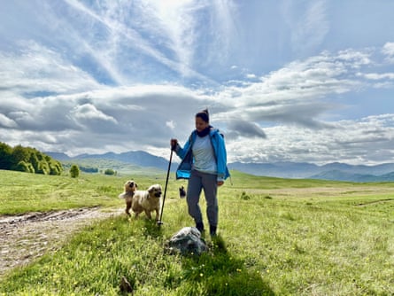 A woman and three dogs walking across a grassy valley with mountains in the background on a sunny day