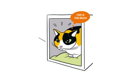 Extracted from KITTY LANGUAGE by Lili Chin