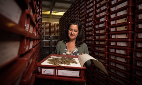 Botanical Illustrator Lesley Elkan. The national herbarium of NSW is relocating to the Australian Botanic Gardens in Mount Annan in the new year with new facilities to help house over a million plant specimens which are currently housed at the Sydney Botanical Gardens site.