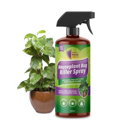 200ml bottle of Ready Steady Defend House Plant Bug Killer Spray