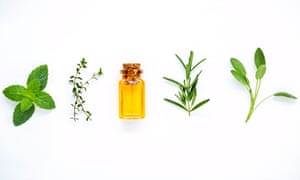 Bottle of essential oil with fresh herbal sage, rosemary, lemon thyme, thyme, green mint and peppermint setup with flat lay on white wooden table