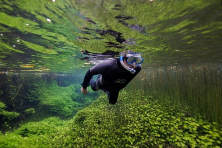 A snorkeller in a green pond