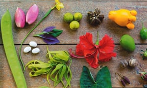 Alys Fowler 10 mejores Instagram cuentas para los jardineros 4 @farmersroots