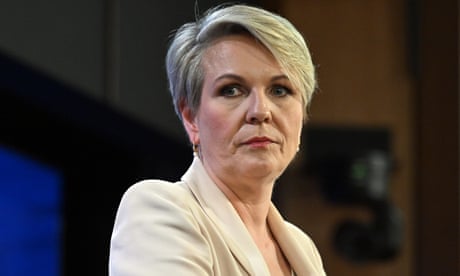 Minister for the environment, Tanya Plibersek