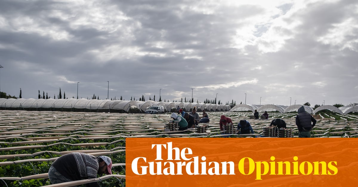 I was once an undocumented migrant in Spain – this new decree will change lives | Francheska Melendez