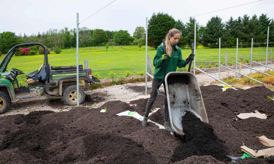 Tess Dickinson working in the kitchen garden at the renovated golf course
