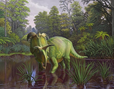 drawing of green animal in a swamp